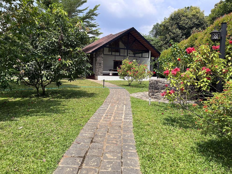 The cottage