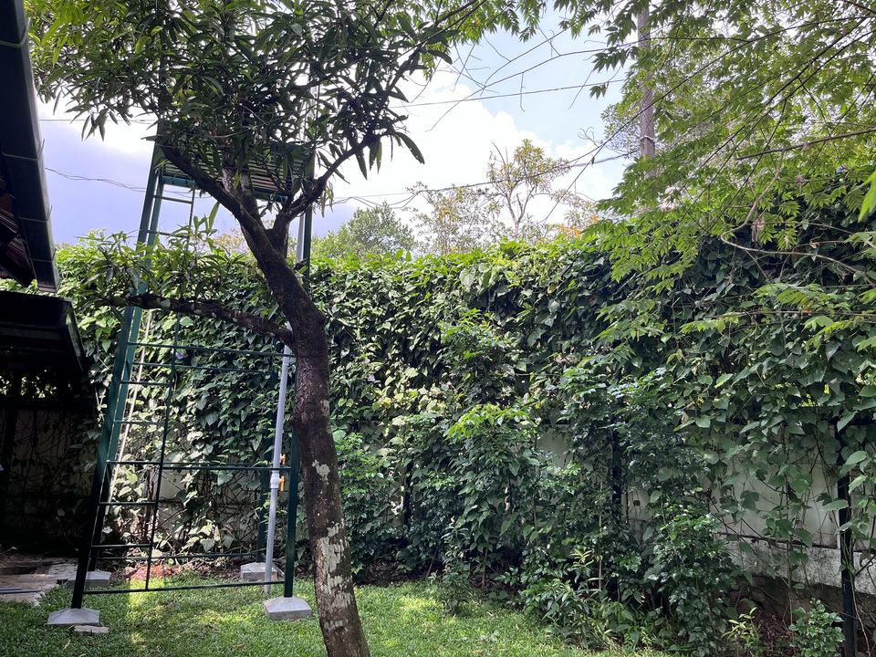 Gardens