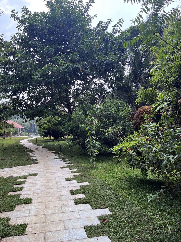 Gardens