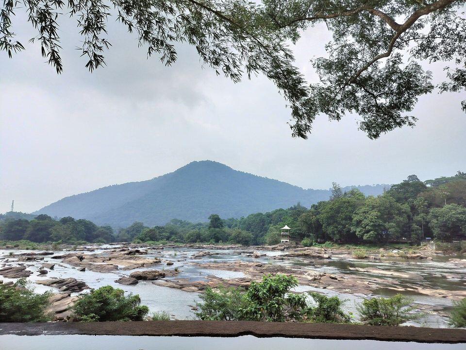 Ezhattumugham Nature Village