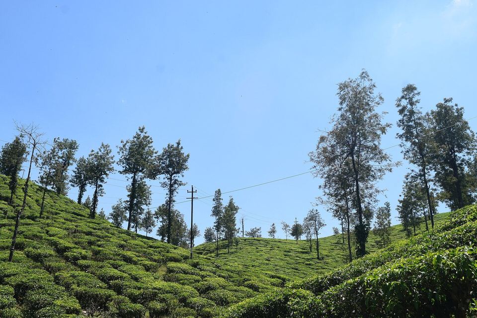The Road to Malakkappara: Kerala's Most Beautiful Forest Drive